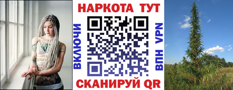 Как найти наркотики Николаевск ГАШ  Псилоцибиновые грибы  Амфетамин  КОКАИН  Меф  A-PVP 
