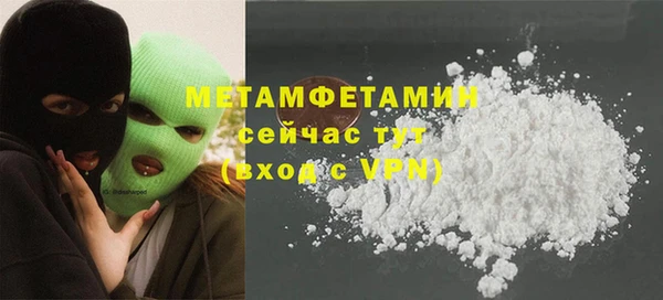 ГАЛЛЮЦИНОГЕННЫЕ ГРИБЫ Козловка