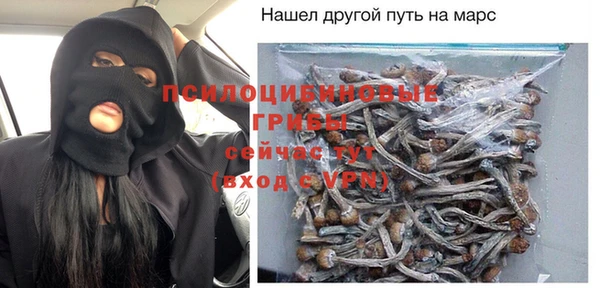 ГАЛЛЮЦИНОГЕННЫЕ ГРИБЫ Медногорск